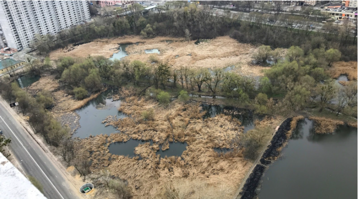 На каскаде Совских прудов создадут инновационный парк и проведут реновацию экосистемы