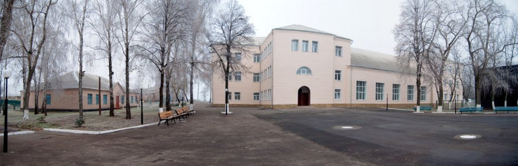 Старша школа: на Київщині визначили обсяги профільного навчання