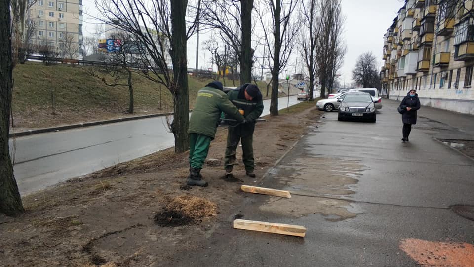 Коммунальщики решили бороться с парковкой на газонах на проспекте Соборности с помощью деревянных столбиков (фото)