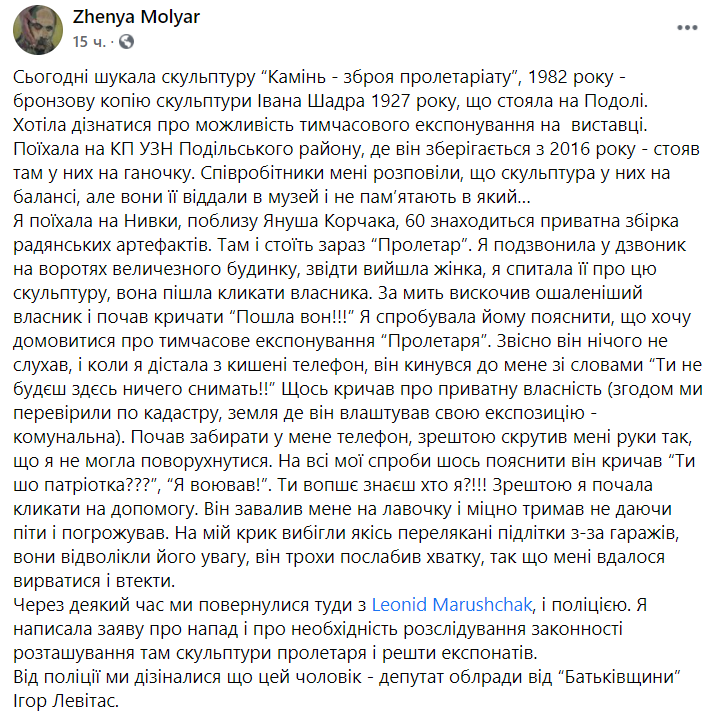 Искусствовед заявила о нападении на нее депутата Киевского облсовета Игоря Левитаса