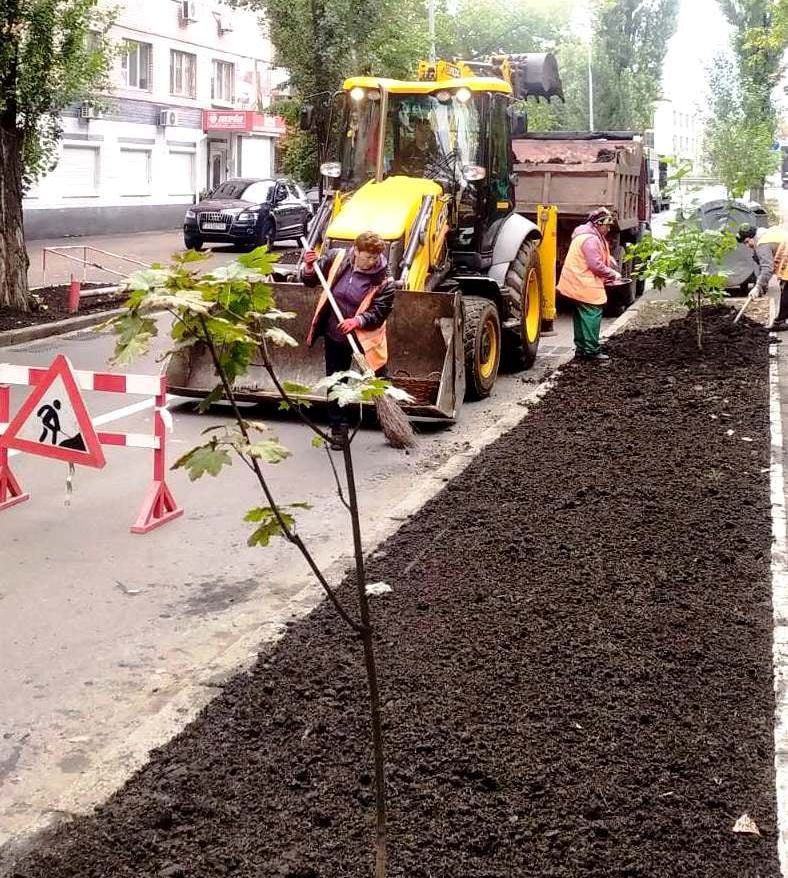 В Святошинском районе высадили еще 13 “слоновых деревьев”