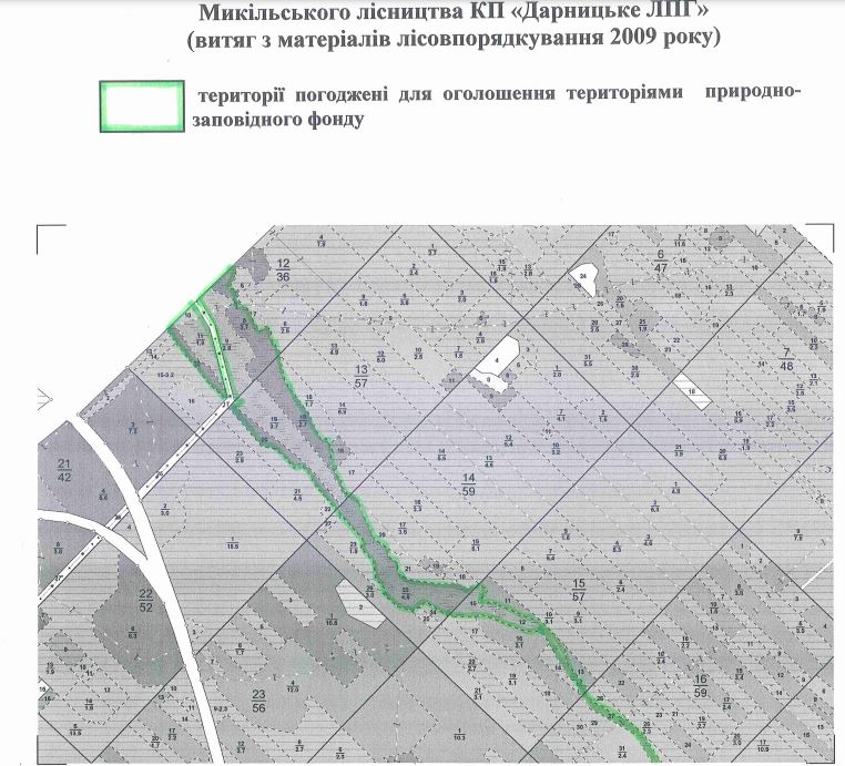 Киевсовет объявил ландшафтным заказником “Дарничанка” 115 га леса на Дарнице