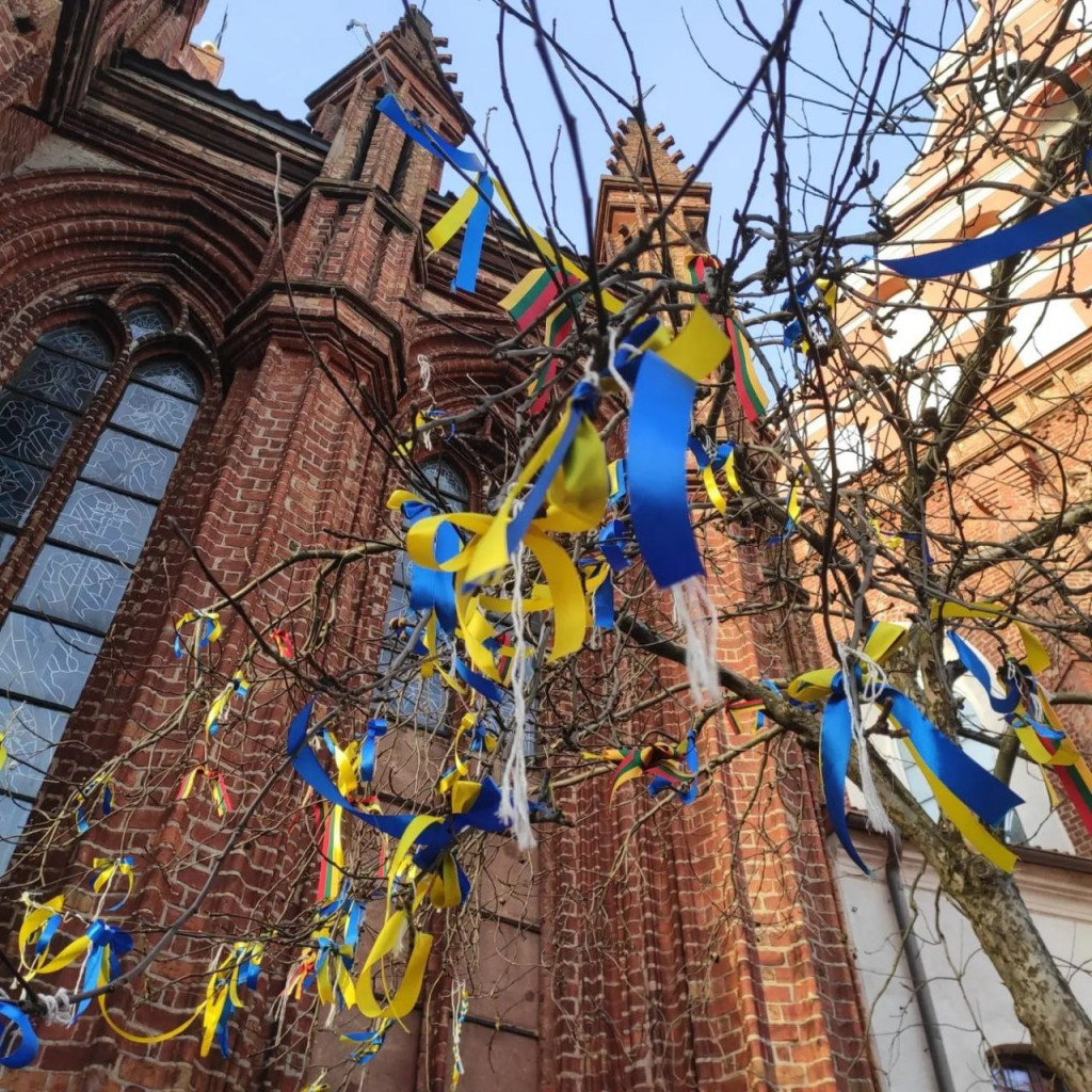 Від Стамбулу до Вільнюсу: життя в евакуації