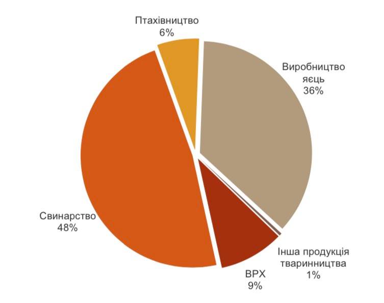 Чи буде хліб насущний: війна сильно вдарила по аграріям Київщини