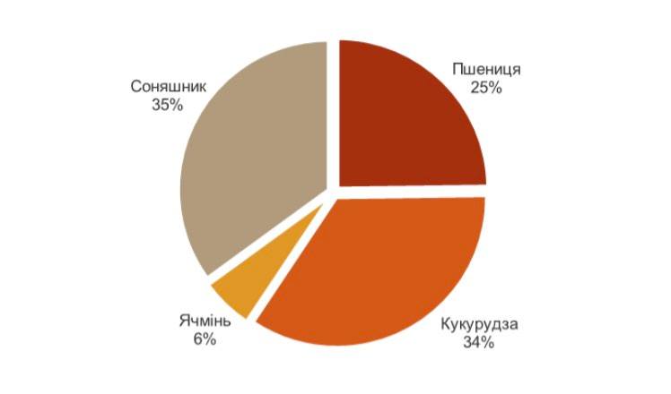 Чи буде хліб насущний: війна сильно вдарила по аграріям Київщини