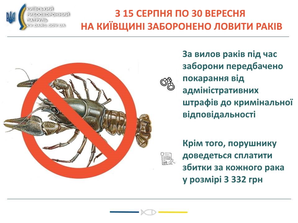 У Києві та на Київщині з 15 серпня розпочинається заборона на вилов раків