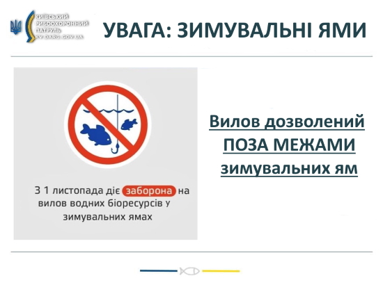 На Київщині з 1 листопада встановлено заборону на вилов риби у зимувальних ямаx