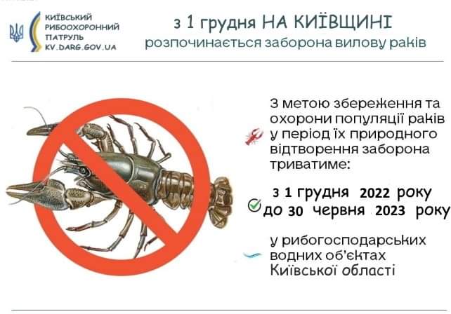З 1 грудня на Київщині буде заборонений вилов раків