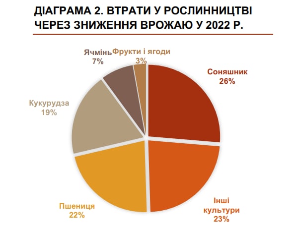 Ціна війни: агросектор Київщини продовжує втрачати мільярди доларів через військове вторгнення рф