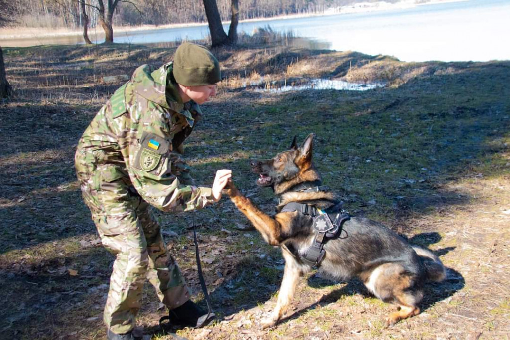 Поліція Київщини отримала транспорт для перевезення службових собак