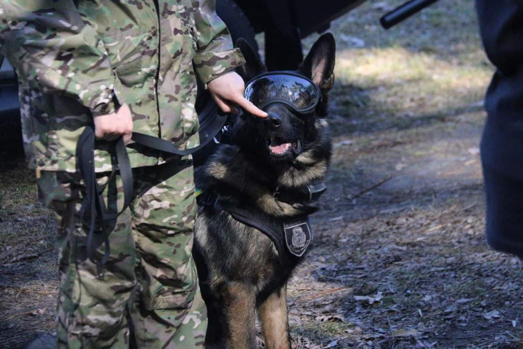 Поліція Київщини отримала транспорт для перевезення службових собак