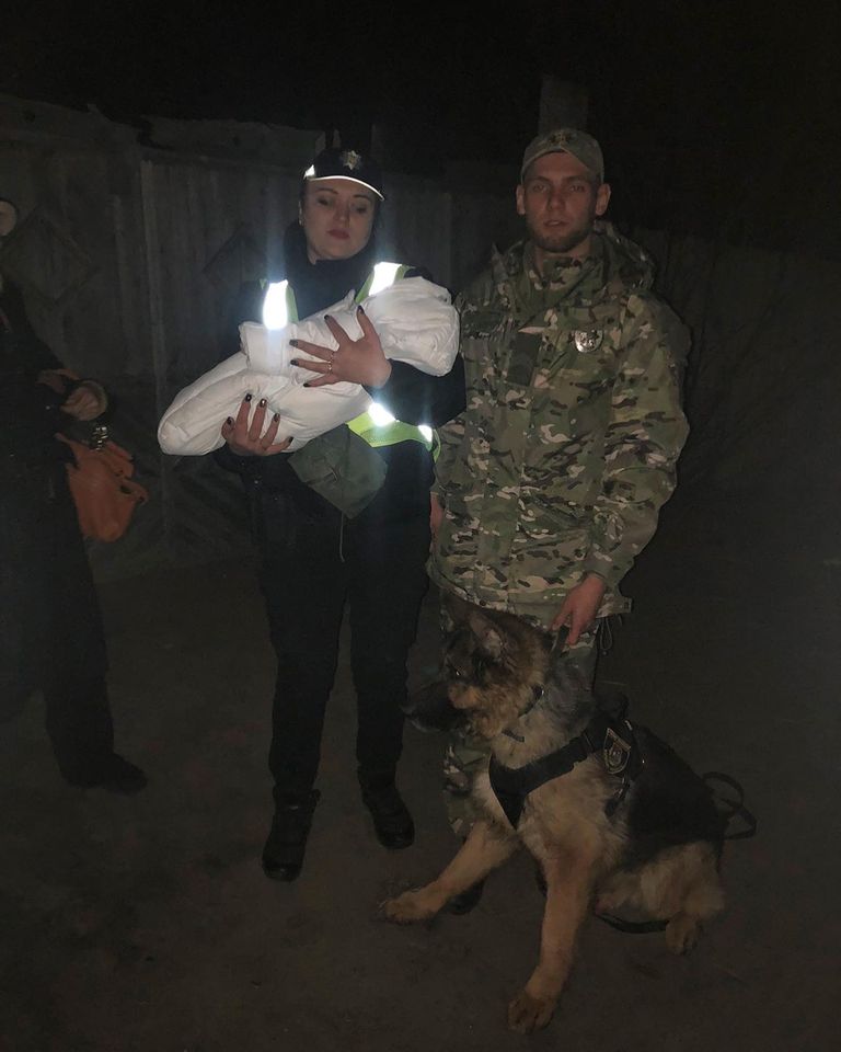 На Київщині службовий собака Гром допоміг знайти двомісячне немовля (фото)