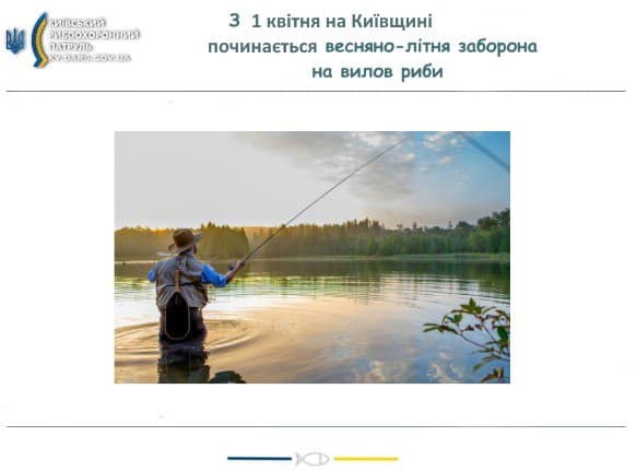На Київщині з 1 квітня розпочинається весняно-літня заборона на вилов риби