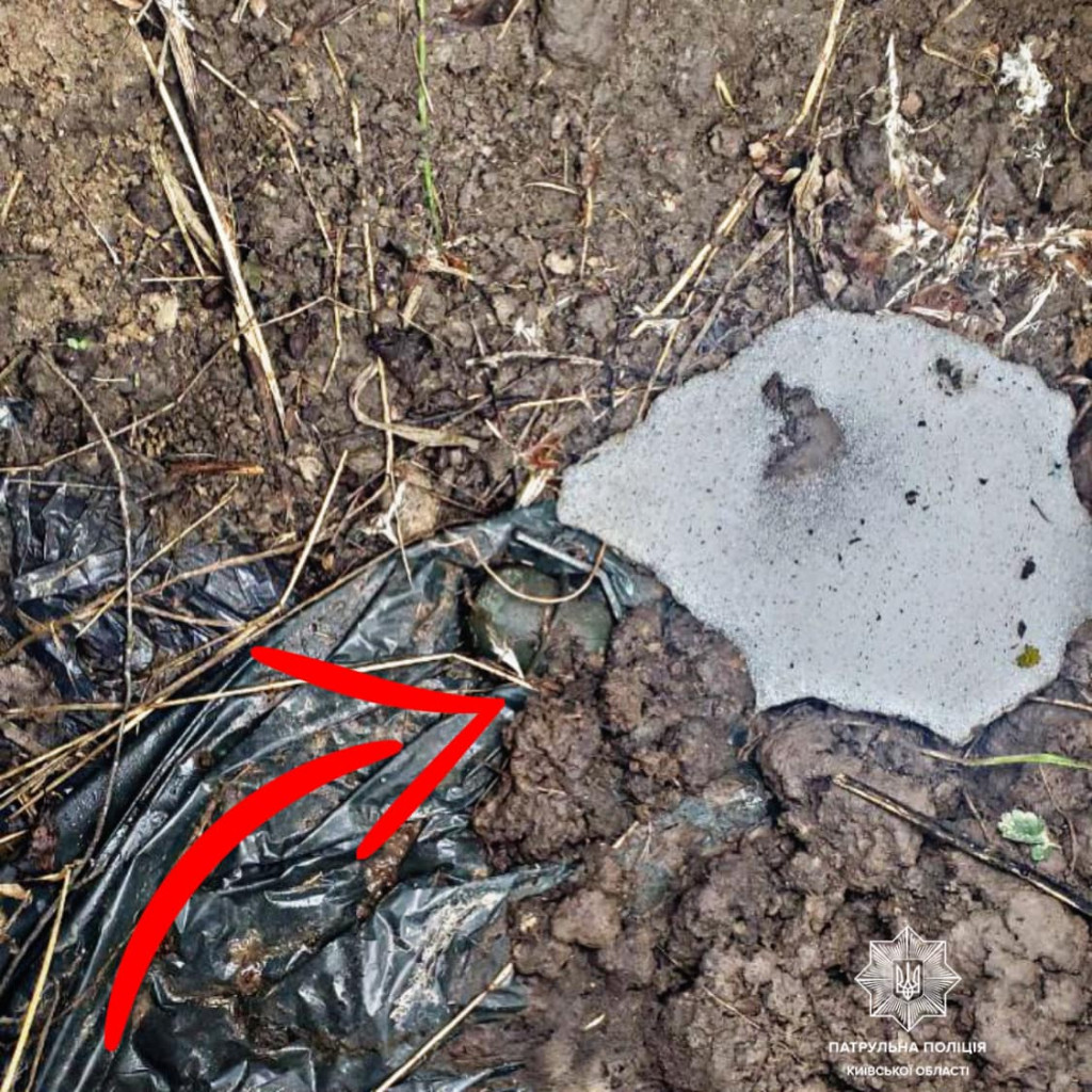 У Мощуні на Київщині собака на прогулянці знайшов гранату (фото)