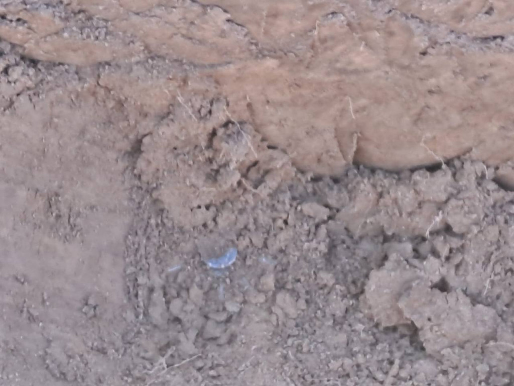 У Макарові на місцевому цвинтарі виявили снаряд