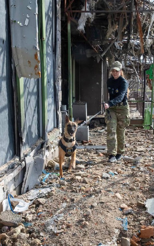 Всесвітньовідомий фотограф Баффет показав світлини героїчних українців, що боронять Київщину (відео)