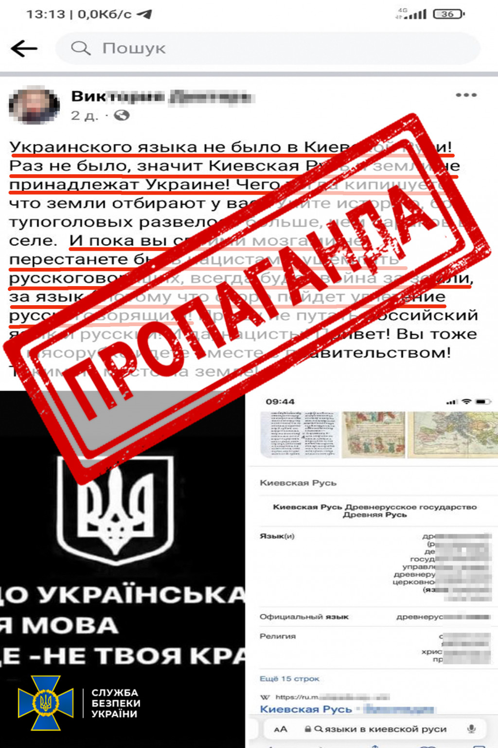 На Київщині викрили кремлівську пропагандистку, яка закликала до державного перевороту (фото)