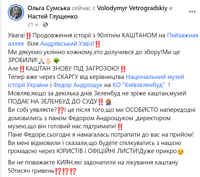 Активісти вимагають не зрізати, а полікувати 90-літній каштан на Пейзажній алеї біля Андріївського узвозу