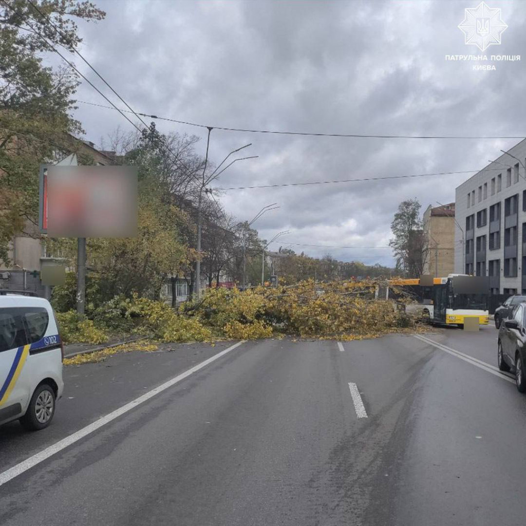 У Києві через повалені дерева ускладнено рух у Подільському та Шевченківському районах (фото)