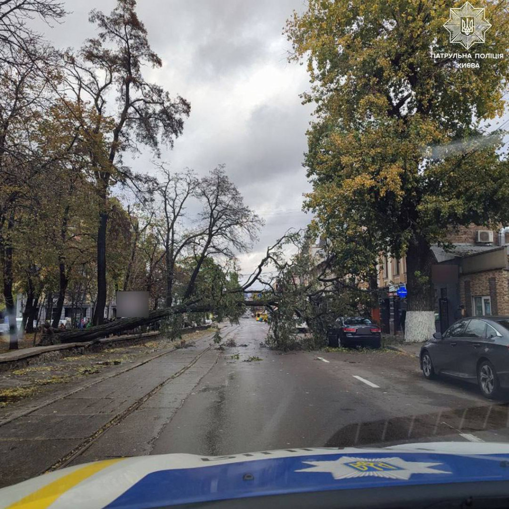 У Києві через повалені дерева ускладнено рух у Подільському та Шевченківському районах (фото)