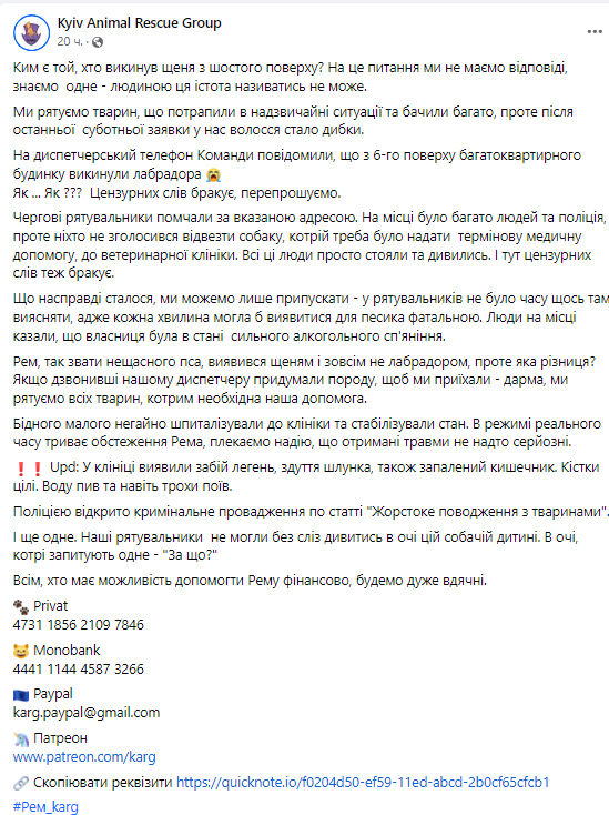 У столиці жінка викинула з вікна багатоповерхівки собаку