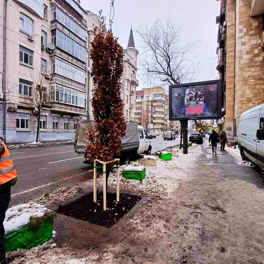 У середмісті Києва невідомі зрізали дуб, посаджений в пам’ять про Романа Ратушного