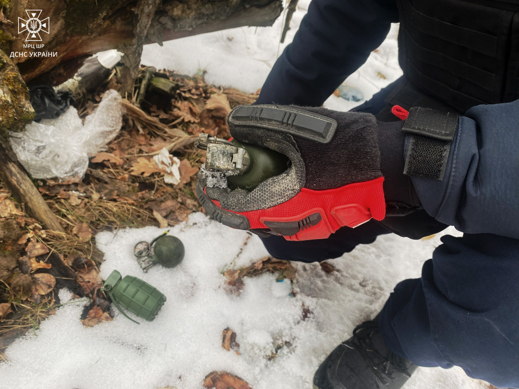 У лісі біля Ворзеля сапери вилучили три гранати