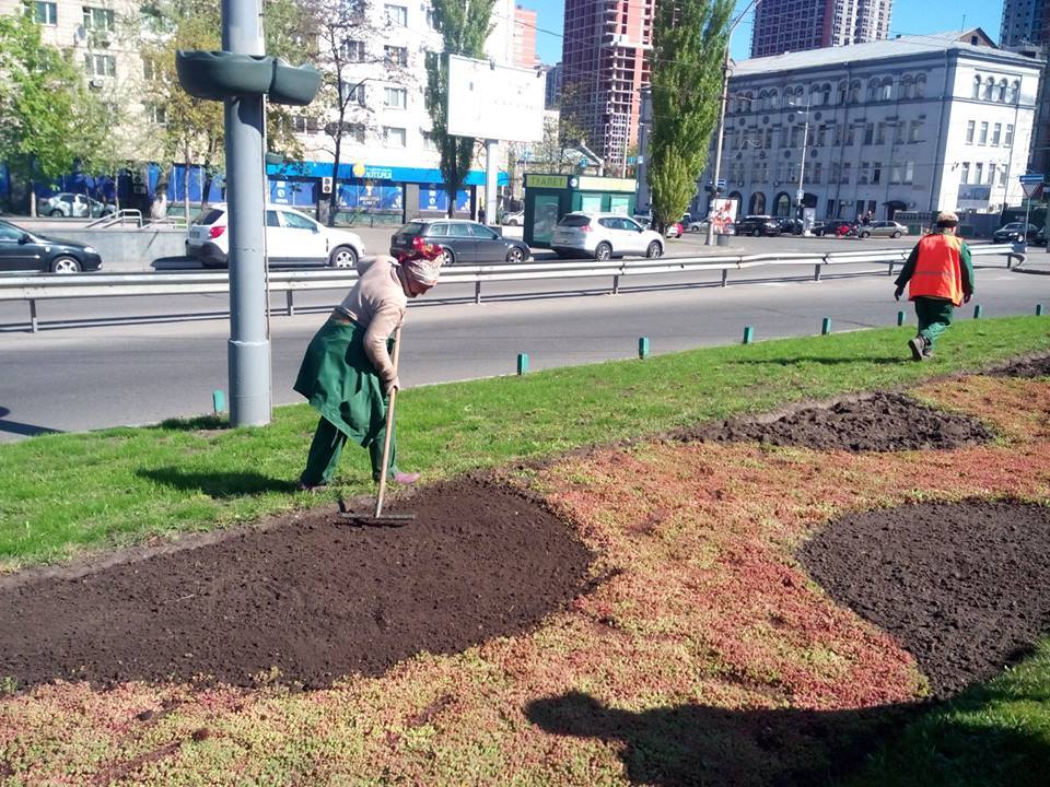 “Киевзеленстрой” на Лыбедской площади сделает сердце из цветов