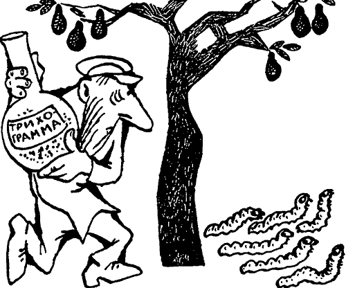 Киевские власти попробуют скормить каштановую моль другим “вредителям” 1015858-i_046