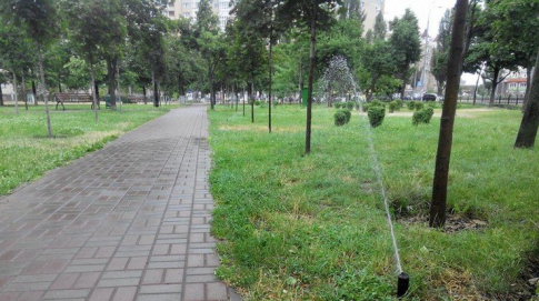 Из-за некачественного полива, в Киеве сохнут деревья и газоны