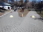В Куреневском парке в Киеве поселились мультипликационные герои