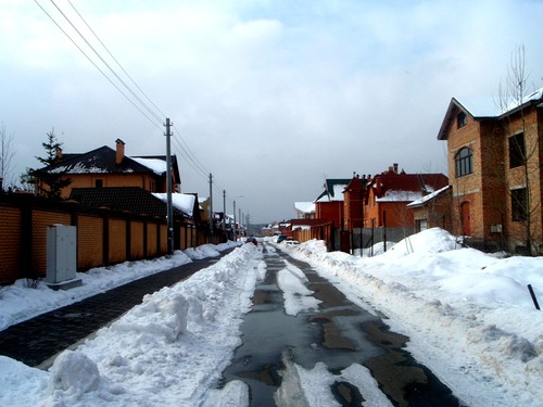 Свыше 250 незаконно переданных гектаров Пущи-Водицы продолжают находиться в собственности семей экс-чиновников