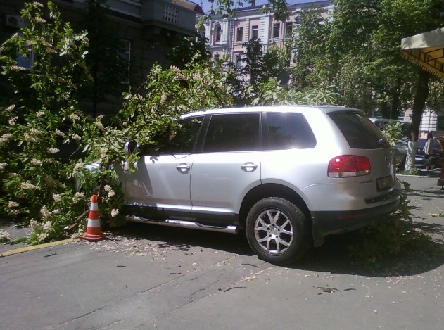 В центре Киева внезапно упавшая ветка каштана повредила два автомобиля (фото)