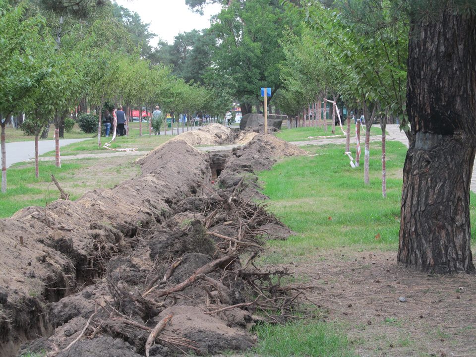 При реконструкции столичного парка Киото страдают деревья (фото)