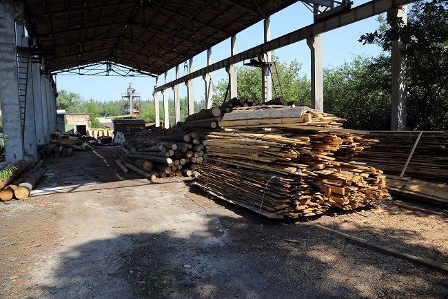 Киевляне обеспокоены “санитарной” вырубкой Пущанского леса (фото)