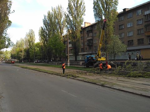 Дерево перекрыло движение транспорта на бульваре Ивана Лепсе в Киеве