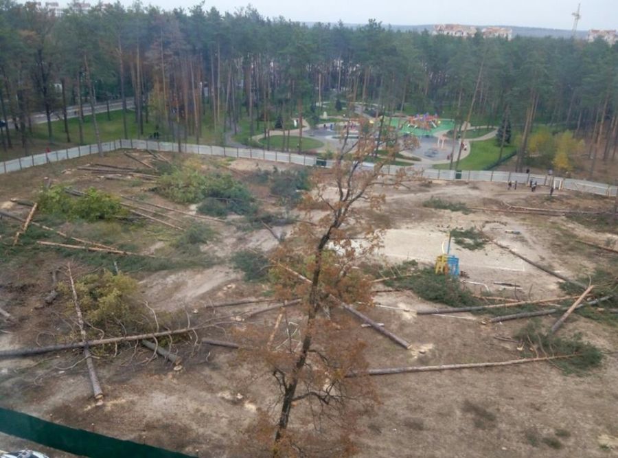 Скандалы ирпенского леса: местные жители требуют построить школу вместо новых домов