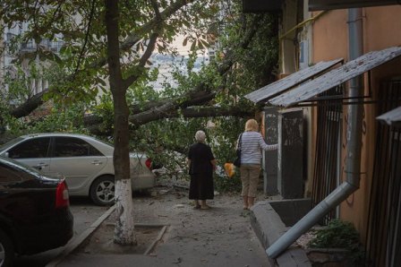 На Малой Житомирской упавшее дерево заблокировало проезд в центр Киева (+фото)