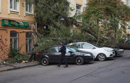 На Малой Житомирской упавшее дерево заблокировало проезд в центр Киева (+фото)