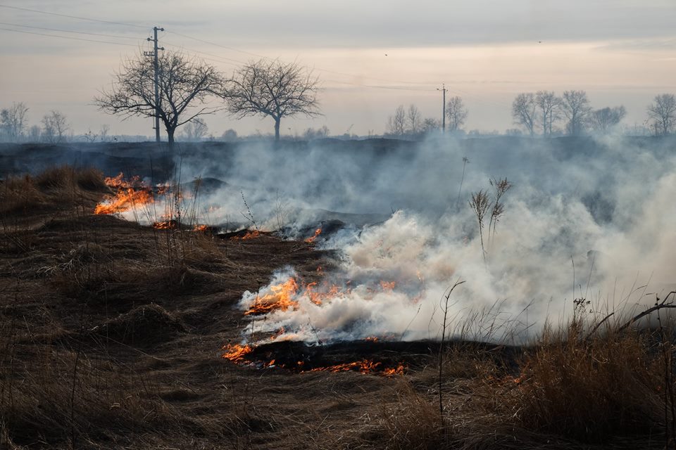 Смог в Киеве: в КГГА пояснили причины