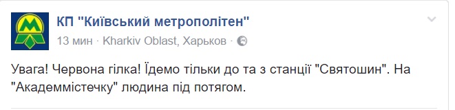 Под поезд столичного метро упал человек