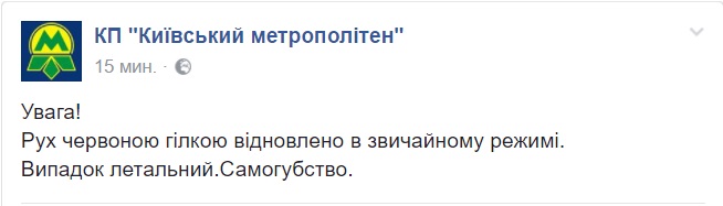 Под поезд столичного метро упал человек