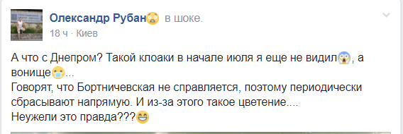 Киевляне жалуются: Днепр зацвел и жутко воняет (фото)