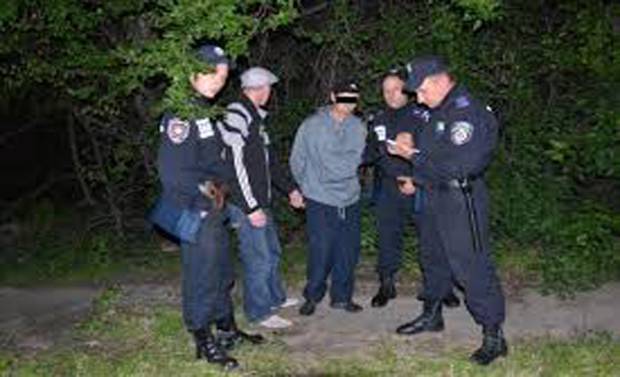 Столичное УГРО поймало “гастролеров”, вскрывавших дачи dacgaimage002