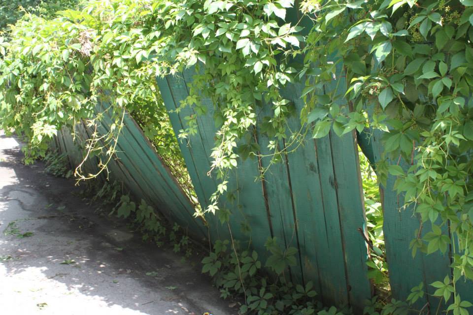 Власти забыли о существовании Зеленого театра. ФОТО greent2