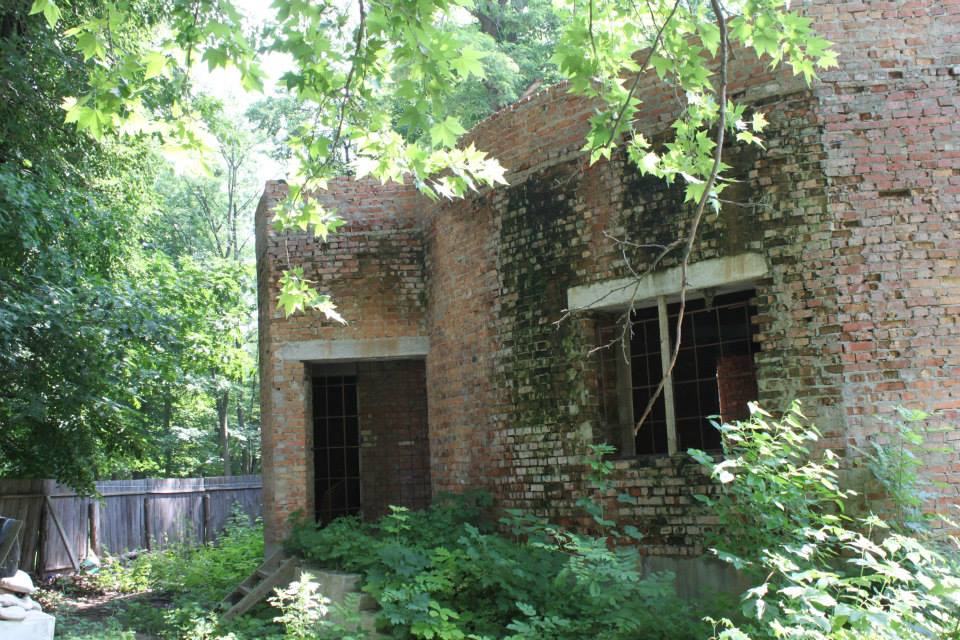 Власти забыли о существовании Зеленого театра. ФОТО greent3