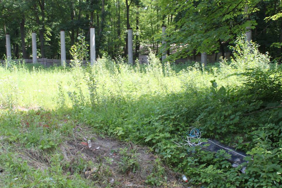 Власти забыли о существовании Зеленого театра. ФОТО greent4