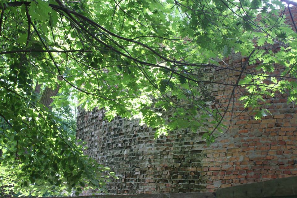 Власти забыли о существовании Зеленого театра. ФОТО greent5