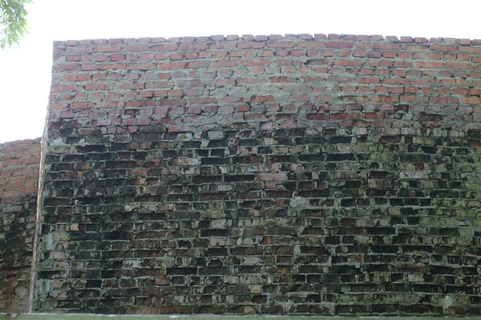 Власти забыли о существовании Зеленого театра. ФОТО greent6