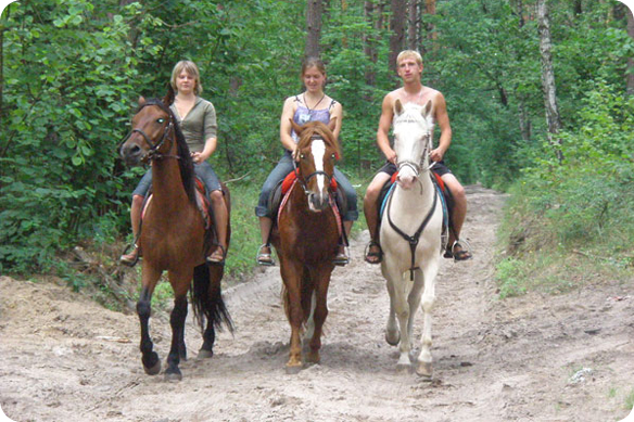 Где в Киеве покататься на лошадях?